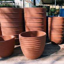 Pottery Buchanan S Native Plants