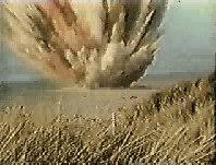 Afbeeldingsresultaat voor ontplofte walvis