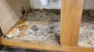 repair kitchen cabinet floor under sink
