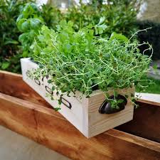 Wooden Herb Box 50cm Window Sill Box