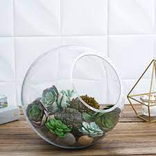Glass Terrarium Bowl