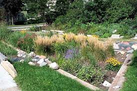 See more ideas about rain garden, rain garden design, plants. Rain Garden Designing Buildings Wiki