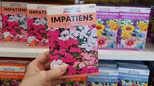Maybe you would like to learn more about one of these? Vegetable Seeds Flower Seeds Just 25 At Dollar Tree More