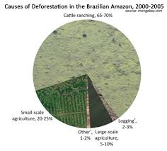 Deforestation And Climate Change Climate Institute