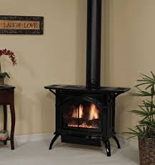 Cast Iron Direct Vent Gas Heating Stove