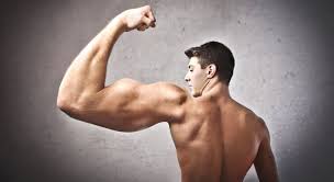foolproof way to achieve bigger arms