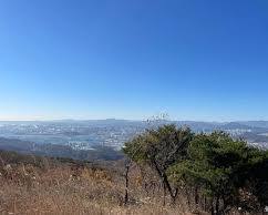 울산 무룡산 야경 등산로 전경, AI로 생성
