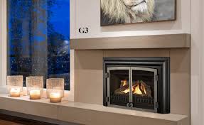 Gas Inserts Fireplace And Stove