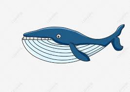 whale blue navy blue whale cartoon