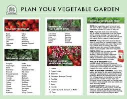 guide to vegetable gardening the farm