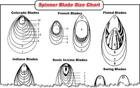 Spinnerbait Blades Size Chart Bedowntowndaytona Com