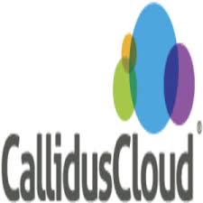 Calliduscloud Callidus Software Callidus Software Inc Doing