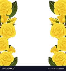 yellow rose flower border royalty free