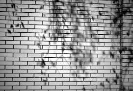 Black And White Brick Wall With Shadows