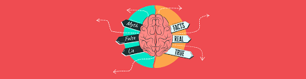 10 Common Myths About Our Visual Brains Visual Learning