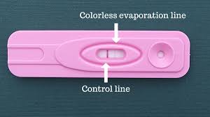 an evap line on a pregnancy test