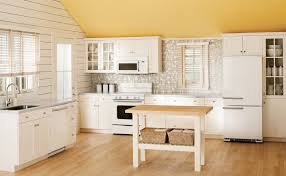 modern kitchens with cool retro appliances