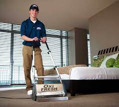 best carpet cleaning services