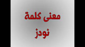 معنى كلمة نودز بالعربي