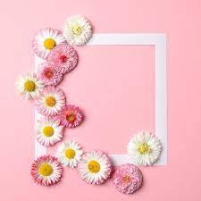 spring flowers and paper border frame