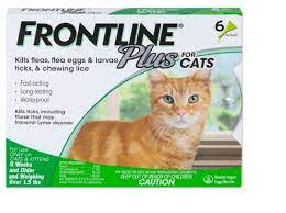 frontline plus for cats fast acting