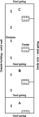 Group Sizes Pen Dimensions