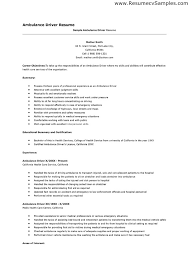 Drive Resume Template   Free Resume Example And Writing Download 