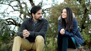 film review bin roye is a love story
