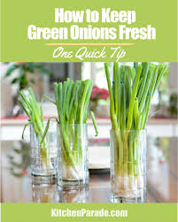 How To Keep Green Onions Fresh For Weeks