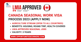 canada seasonal work visa process 2023