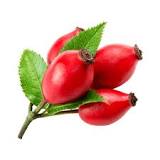 Buy Rosehip - Ingredients Online | Faithful to Nature