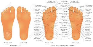 Foot Reflexology Chart Reflex Zones Of The Feet Soles Accurate