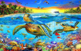 sea ocean sea turtles swimming cs
