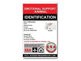 Includes all the information your doctor will need to write a correct letter for flying or living with your emotional support animal. Esa Identification Kit