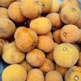 What is Santol in English?