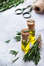 How to Use Rosemary Hair Oil For Growth: Recipe for Rosemary ...