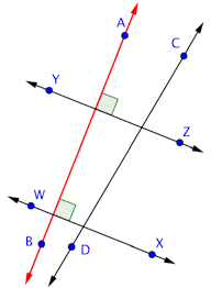3 6 Parallel And Perpendicular Lines