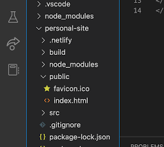 favicon showing up locally deploy