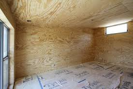 Plywood Walls Brushy Top House