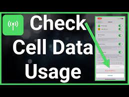 check cellular data usage on iphone