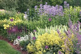 Summer Perennial Garden Bed