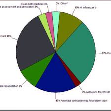 Pie Chart Of Lives Saved In The Philippines Using List