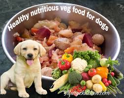 best nutritious veg pet dog food recipe