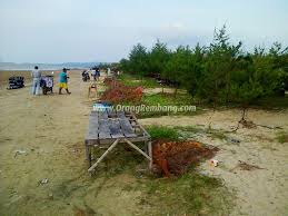 Jarak pantai yang tidak terlalu jauh dari jalan raya kurang lebih 1,5km. Wisata Pantai Caruban Di Kab Rembang Orang Rembang
