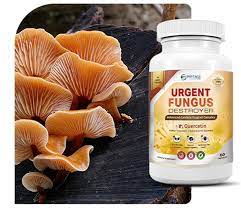 Urgent Fungus Destroyer  Phytage Labs