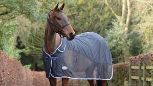 best travel rugs for horses for use