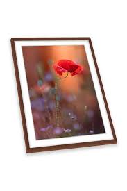 Red Poppy Flower Framed Art Print
