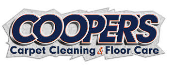 carpet cleaning floor care reviews