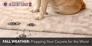 fall weather prepping your carpets for
