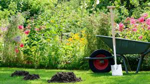 how to get rid of moles in your yard
